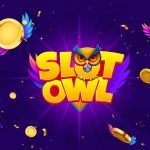 Private: Slot Owl